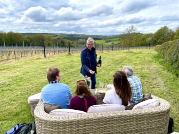 Bursting buds and vineyard visitors - Busi Jacobsohn