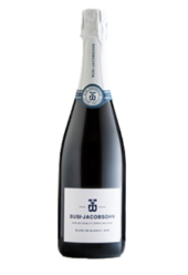 Busi Jocobsohn | Blanc de Blanc 2018