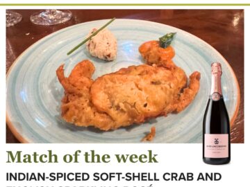 English Sparkling Rose’ & Indian food - Busi Jacobsohn