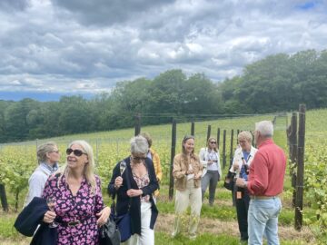 Flowering Vines & Sunny Open Days - Busi Jacobsohn