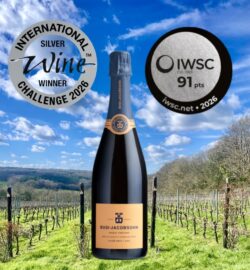 Double Silver Award for Busi Jacobsohn Cuvee Brut 2021 - Busi Jacobsohn