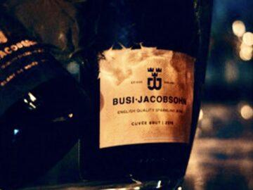 Gold Award Sparkling Photos - Busi Jacobsohn